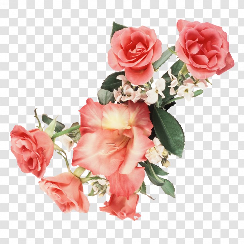 Flower Animation Desktop Wallpaper - Cartoon - Bouquet Transparent PNG