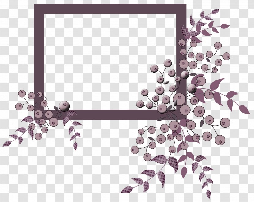 Picture Frames Image Product Design Download - Branch - Cluster De Transparent PNG