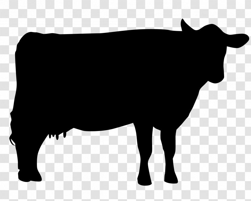 Holstein Friesian Cattle Jersey Hereford Beef Santa Gertrudis - Grass - Silhouette Transparent PNG