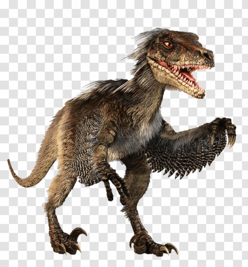 Velociraptor Feathered Dinosaur Tyrannosaurus Dromaeosaurids Transparent PNG