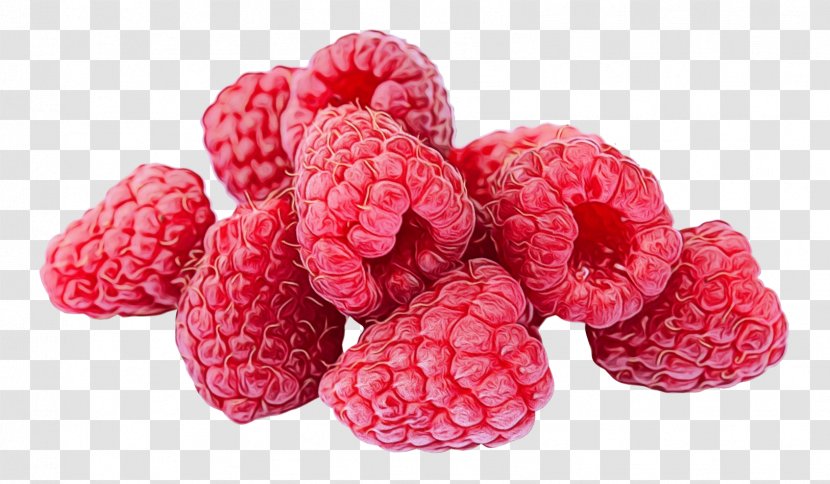 Raspberry Berry Fruit Food Frutti Di Bosco - Superfruit - Plant Tayberry Transparent PNG
