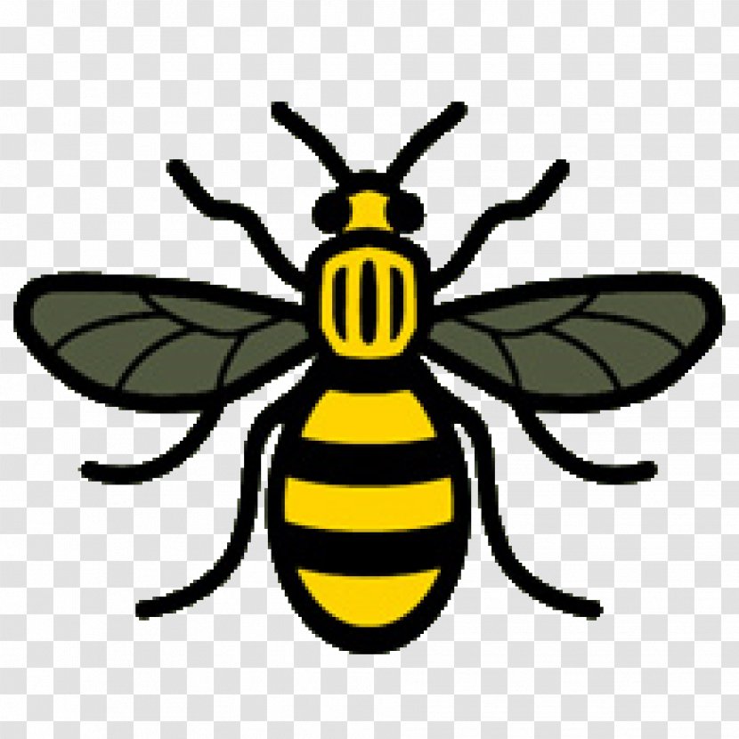 2017 Manchester Arena Bombing Worker Bee Symbols Of - Symbol - Bees Transparent PNG