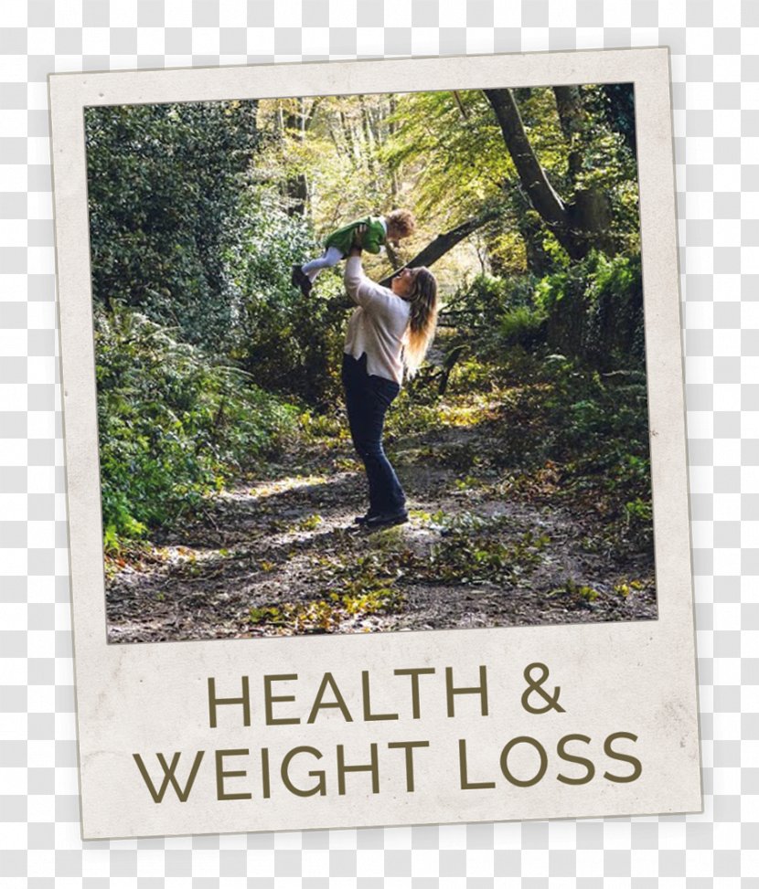 Weight Loss Health YouTube Blog - Recreation - Archie Transparent PNG