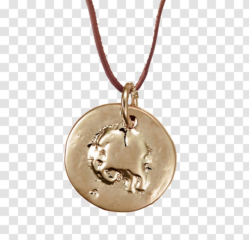 Locket Necklace Silver - Drop Gold Coins Transparent PNG