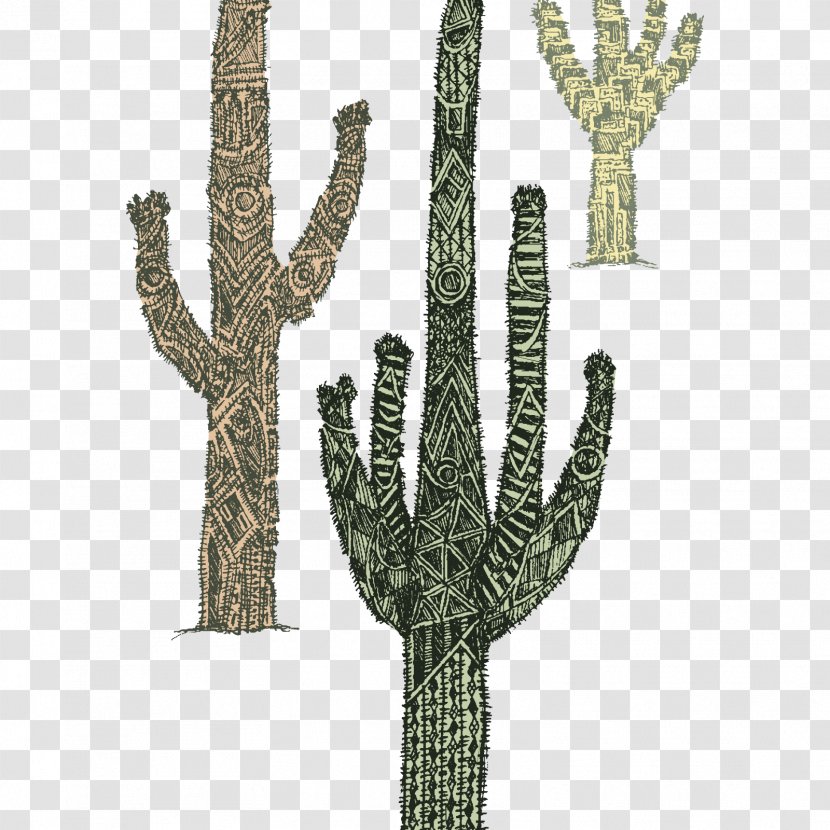 Cactaceae Child Zazzle Succulent Plant Clothing - Cactus Creative Transparent PNG
