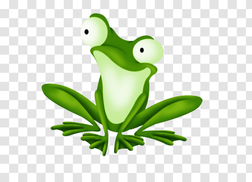 Frog Green Tree Frog True Frog Tree Frog Transparent PNG