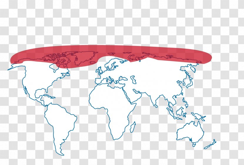 World Map Globe Blank - Bear Hat Transparent PNG
