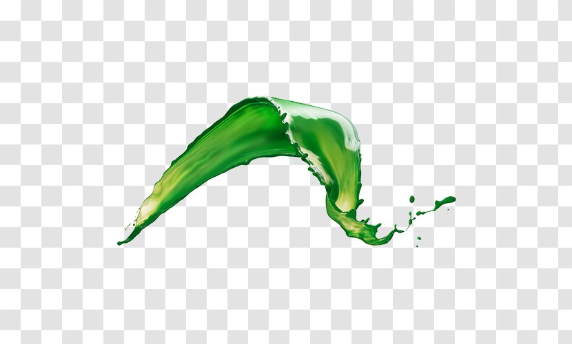 Green Liquid Chlorophyll Oil Leaf - Color Transparent PNG