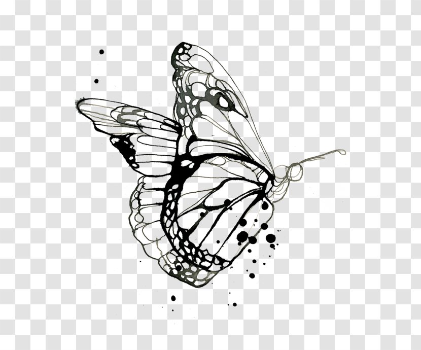 Monarch Butterfly Drawing Design Coloring Book Tattoo Transparent PNG