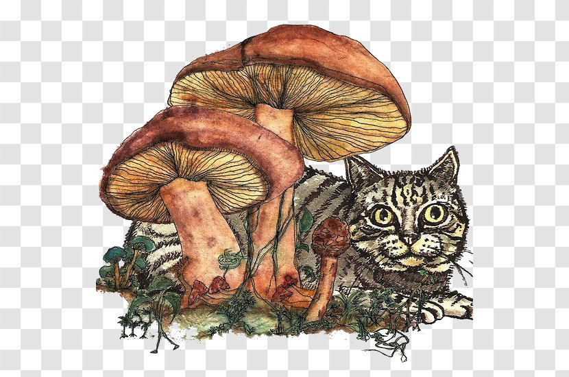 Cat Kitten Felidae Printmaking Illustration - Artist - Retro Mushrooms Transparent PNG