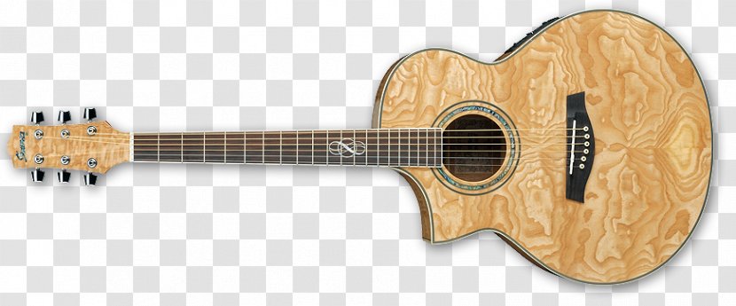 Ibanez Exotic Wood Series AEW40 Acoustic Guitar Electric - Watercolor - Beautiful Guitars Transparent PNG