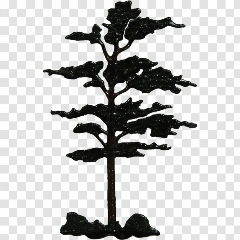 Tree Fir Woody Plant Conifers - Shrub - Fir-tree Transparent PNG