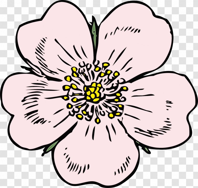 Floral Design - Flower - Cinquefoil Wildflower Transparent PNG