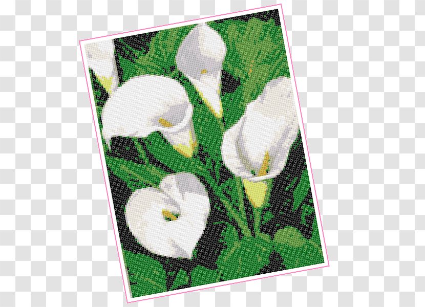 Flowering Plant Petal Picture Frames - Stitch Transparent PNG