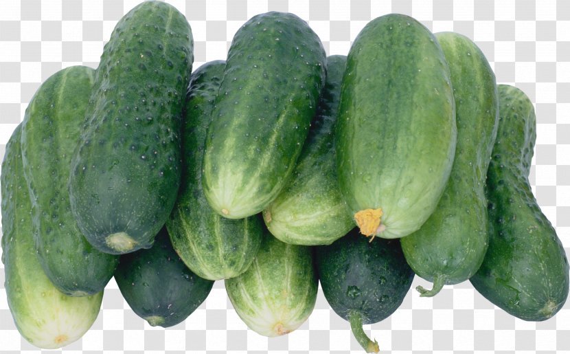 Pickled Cucumber Cultivar Vegetable Brined Pickles Transparent PNG