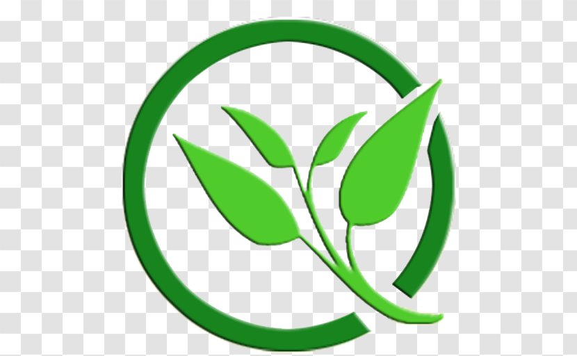 India Food Background - Health - Logo Plant Transparent PNG