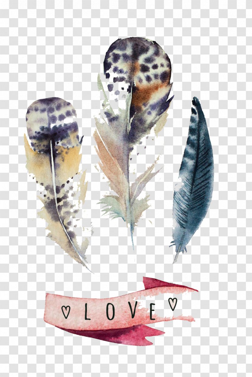 Feather Watercolor Painting Canvas Print - Printing - Drawing Transparent PNG