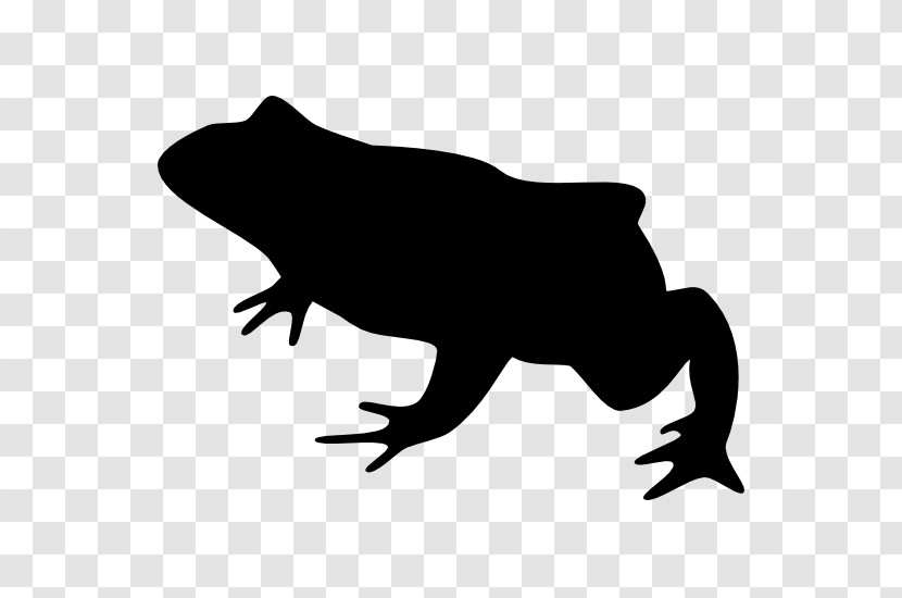 Frog Silhouette Toad Transparent PNG