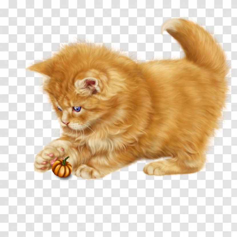 Persian Cat Kitten Kurilian Bobtail Whiskers Domestic Short-haired - Dog Lying Transparent PNG