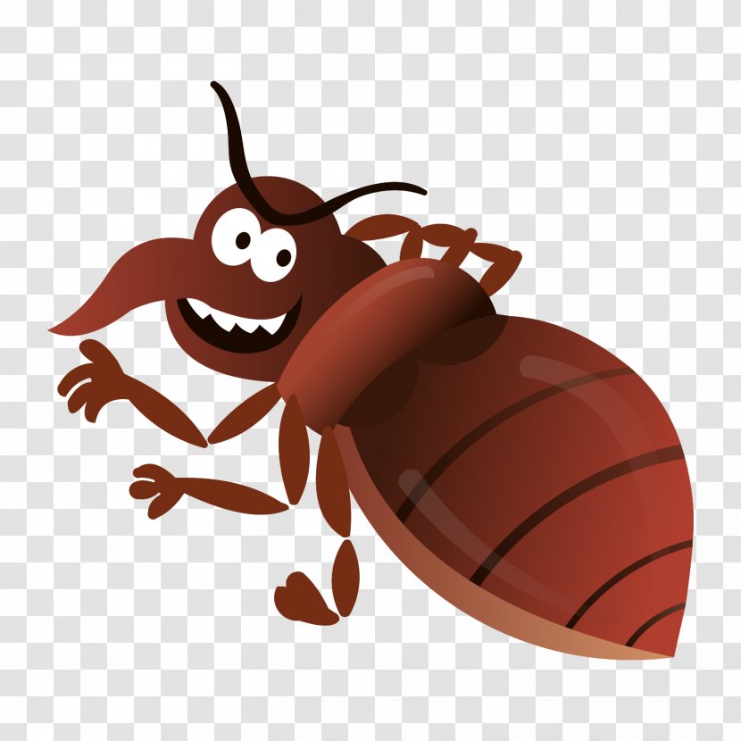 Beetle Image Clip Art - Antenna - Insect Transparent PNG