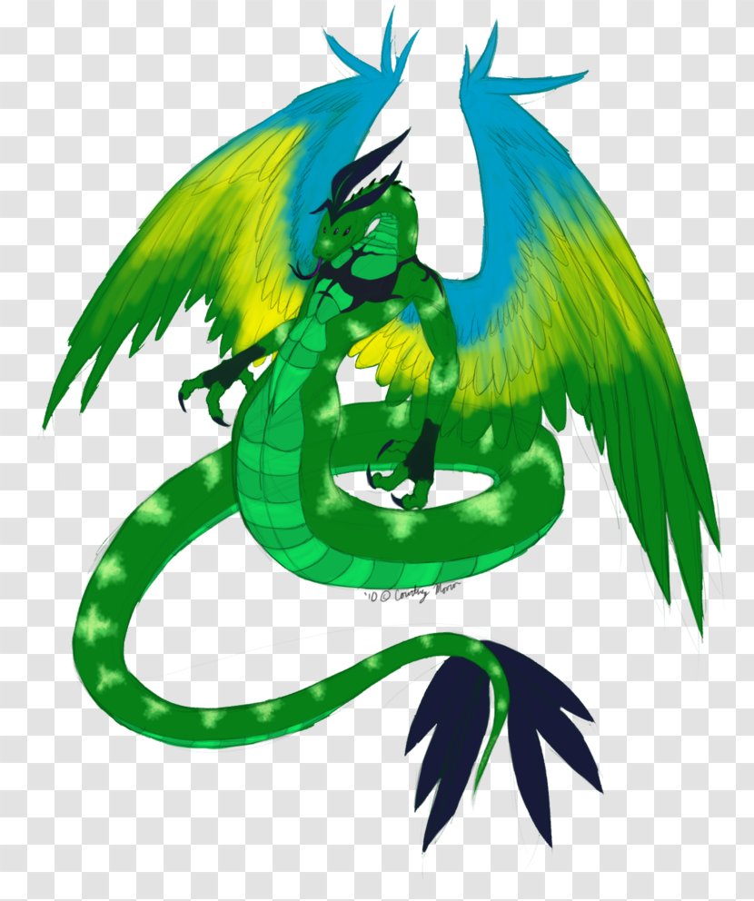 Macaw Artist Dragon Illustration - Beak - Asl Pattern Transparent PNG