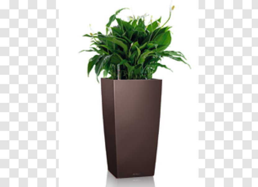 Flowerpot Watering Cans Garden Houseplant - Green Wall Transparent PNG