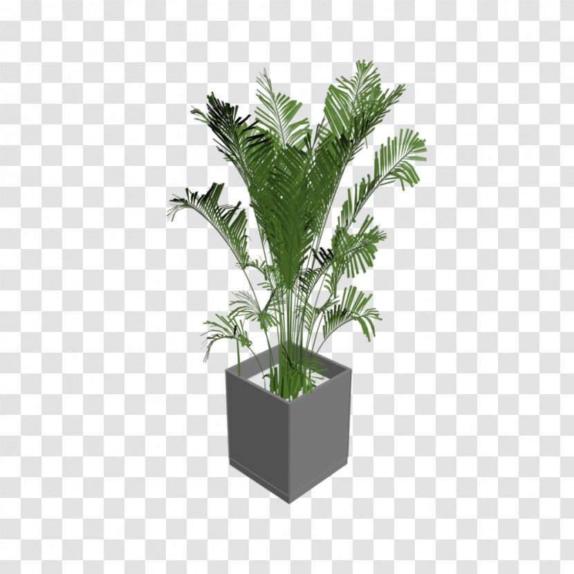 Houseplant Arecaceae Tree Flowerpot - Plant Transparent PNG