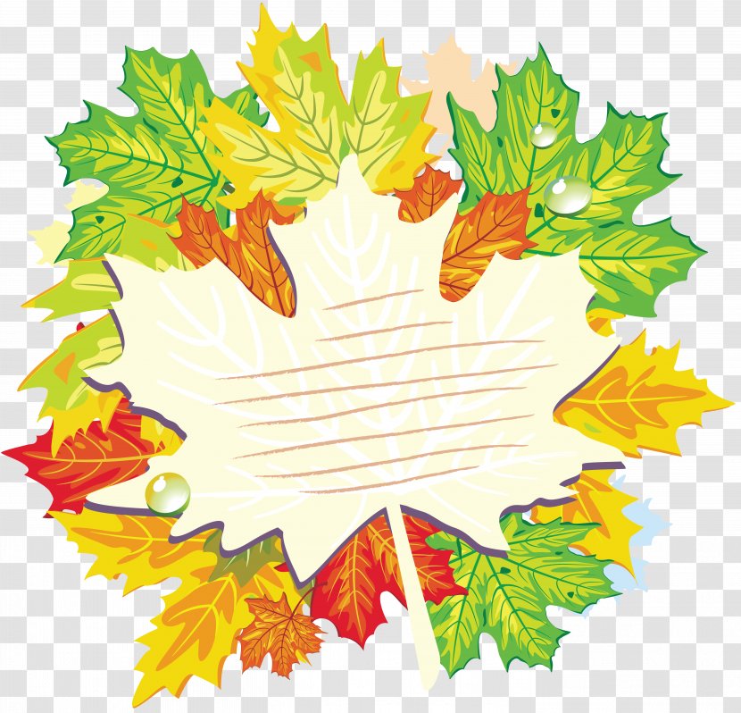 Knowledge Day School Lesson Teacher - Textbook - Autumn Leaves Transparent PNG