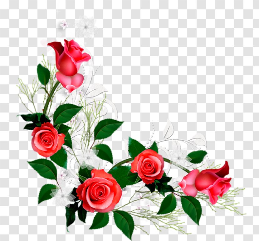 Flower Rose Clip Art - Plant Transparent PNG