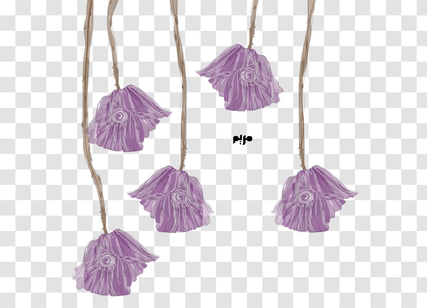 Product Petal - Lilac - Botanical Illustration Library Transparent PNG