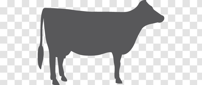 Dairy Cattle Milk Calf Goat Beef - Cow Family Transparent PNG