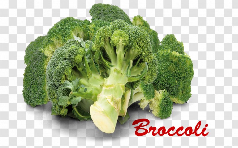 Broccoli Image Vegetarian Cuisine Cruciferous Vegetables Transparent PNG