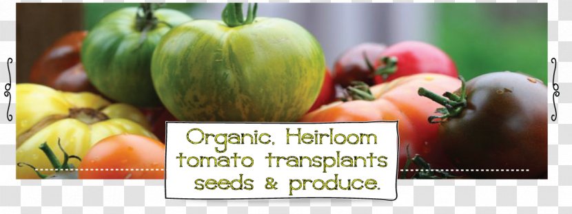 Heirloom Tomato Organic Food Plant - Potato And Genus - Cherry Transparent PNG