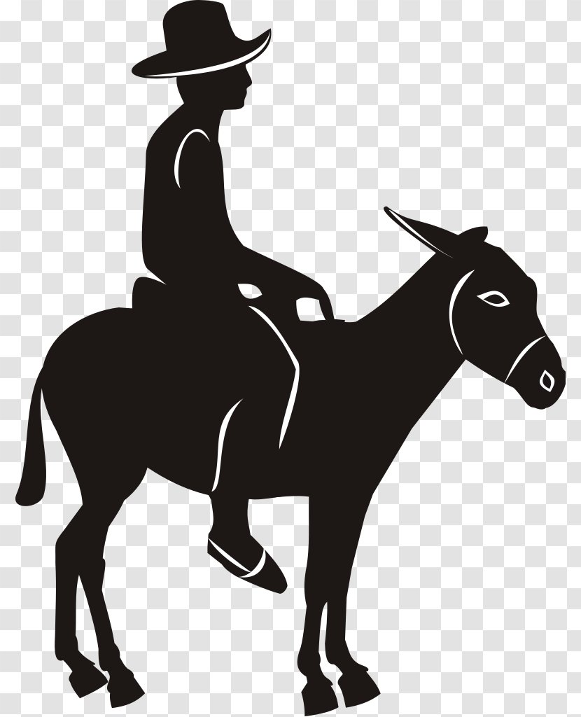 Mule Donkey Drawing Clip Art - Equestrian Sport - Vector Transparent PNG