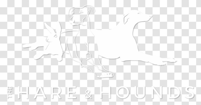 Line Art Drawing White Mammal Sketch - Black - Hare And Hound Transparent PNG