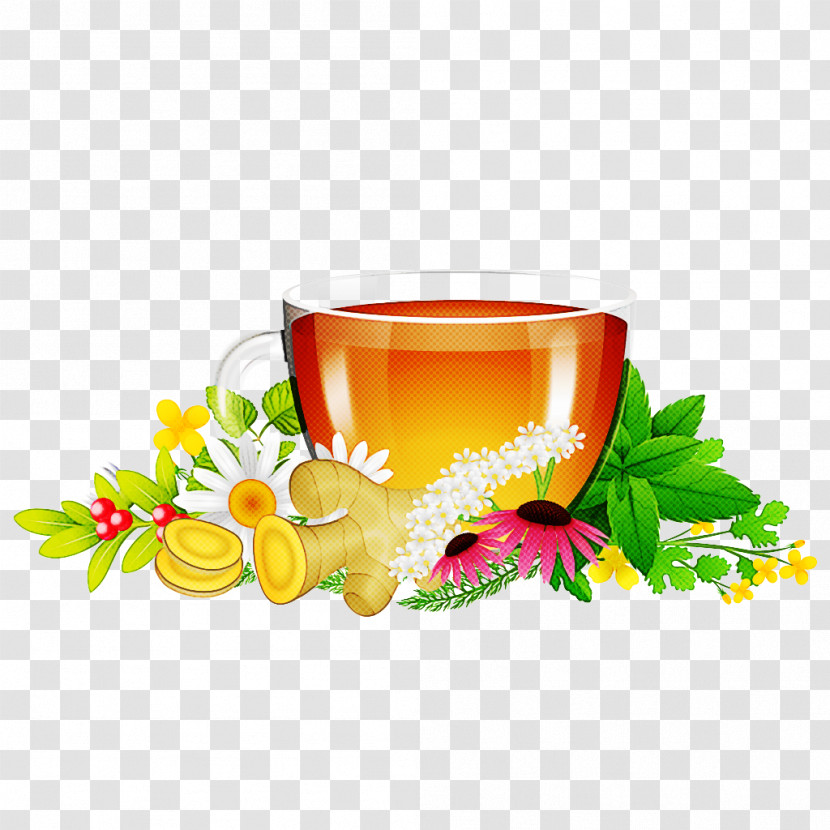 Drink Plant Flower Herbal Herbaceous Plant Transparent PNG