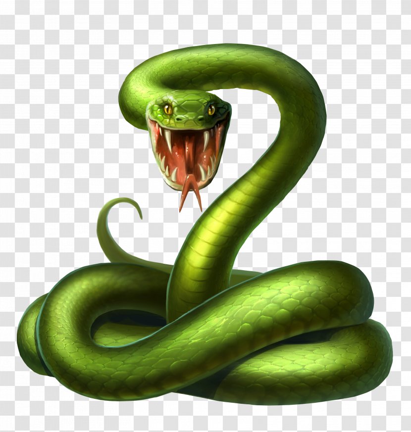 Snake Android Illustration - Vegetable - Green Poison Transparent PNG