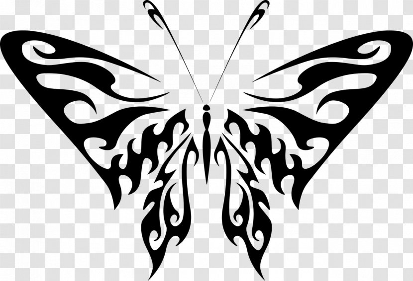 Monarch Butterfly Line Art Clip Transparent PNG