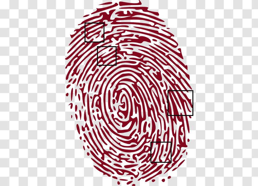 Forensic Science Fingerprint Crime Clip Art - Criminal Law Transparent PNG