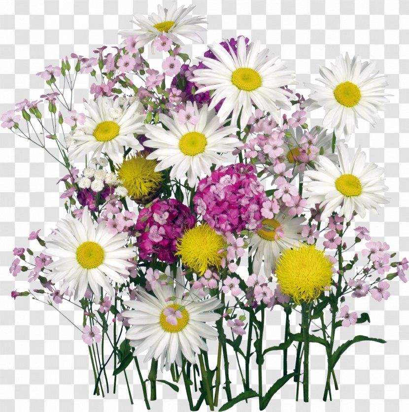 Flower Bouquet Desktop Wallpaper Clip Art - Flora - Camomile Transparent PNG