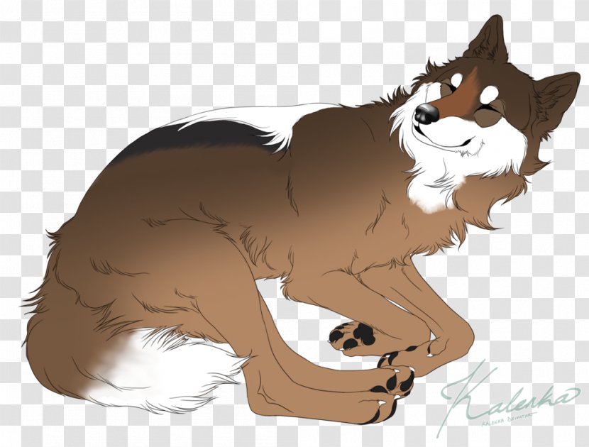 Kitten Dog Whiskers Red Fox Cat - Art Transparent PNG