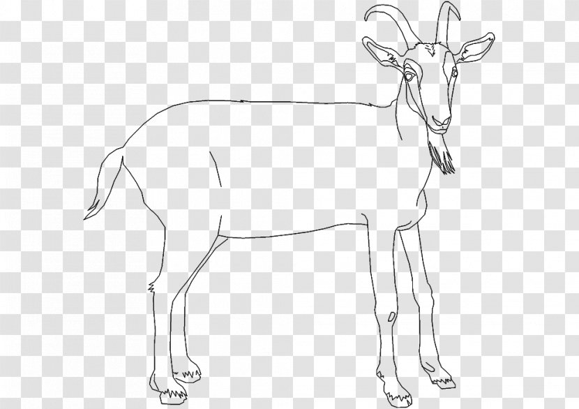 Antelope Reindeer Cattle Line Art Goat - Mammal Transparent PNG