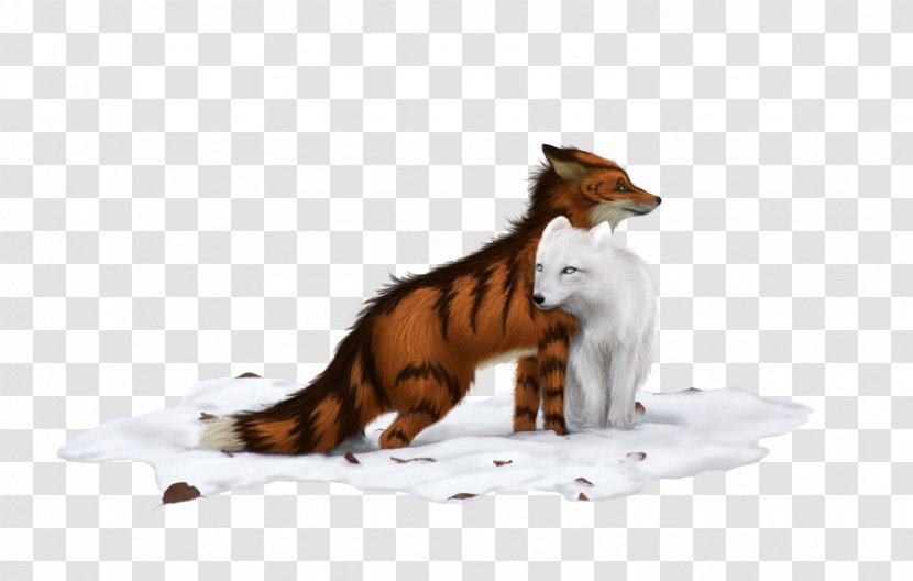 Cat Red Fox Tail Wildlife News Transparent PNG
