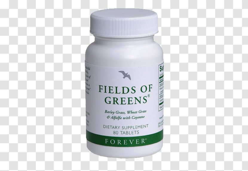 Forever Living Products Chennai Wheatgrass Dietary Supplement Food - Health Transparent PNG