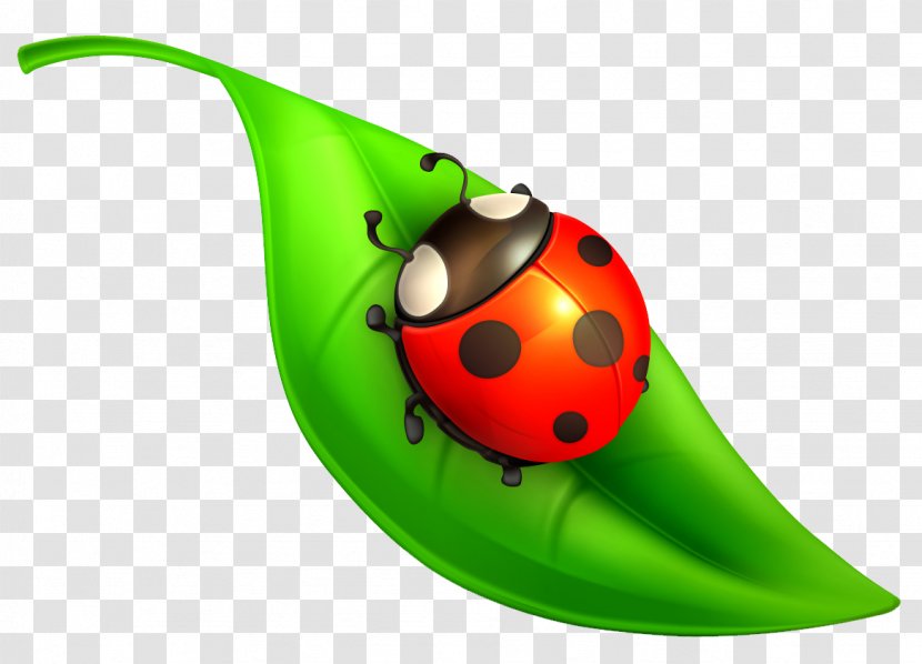 Clip Art - Green - Ladybug Transparent PNG