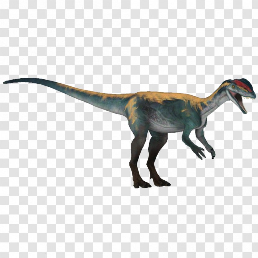 Velociraptor Dinosaur Feather Fauna Terrestrial Animal - Carnage Transparent PNG