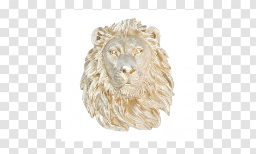 Lionhead Rabbit White-tailed Deer Taxidermy - Cougar - Lion Head Transparent PNG