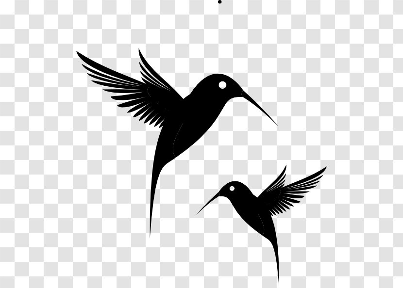 Hummingbird Black Clip Art - Drawing Transparent PNG