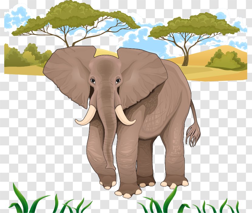 African Elephant Stock Illustration - Jungle Transparent PNG