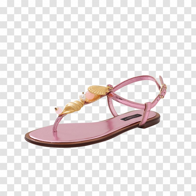 Sandal Footwear Shoe Flip-flops Dolce & Gabbana - Shopstyle - & Transparent PNG